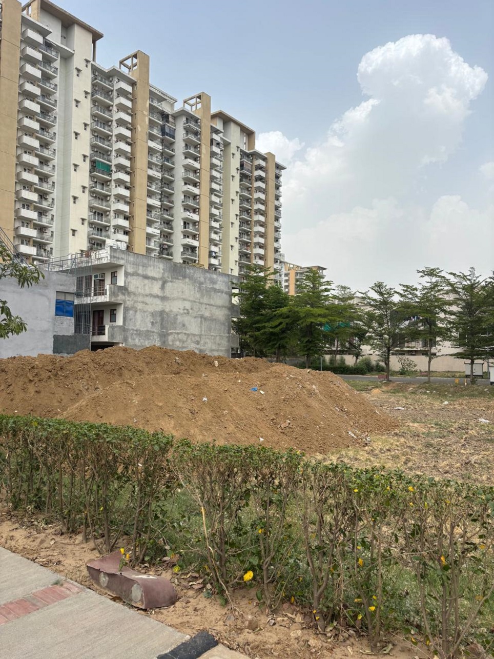 Plot For Sale in BPTP Amstoria Plot