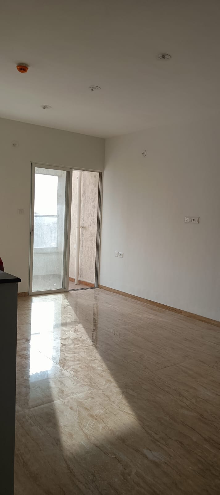 1 BHK 450 Sq.Ft. Apartment in VTP Leonara