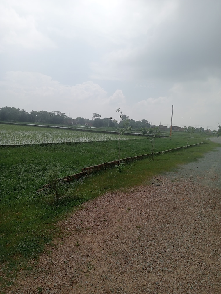 undefined, ramnagar  1360 Sq.Ft. Plot In Ramnagar Varanasi 9117159