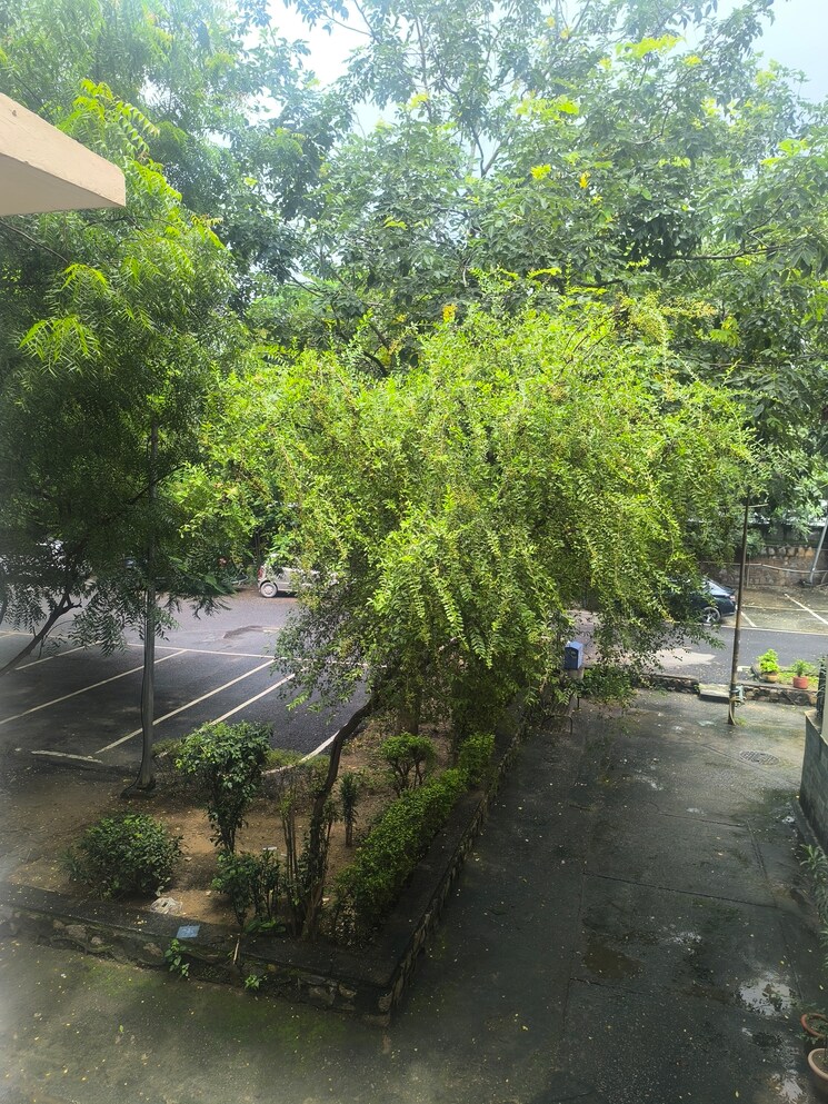 Garden, vasant kunj 4 Bedroom 1800 Sq.Ft. Apartment In Vasant Kunj Delhi 9117219