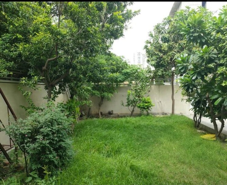 Garden, super-mig 3.5 Bedroom 2000 Sq.Ft. Independent House In Sector 105 Noida 9117342