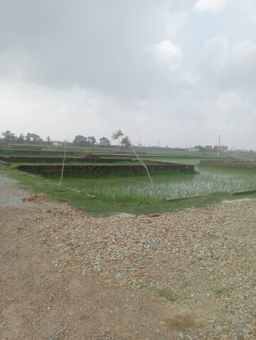 Plot Area in  Plot at Ramnagar – for Sale