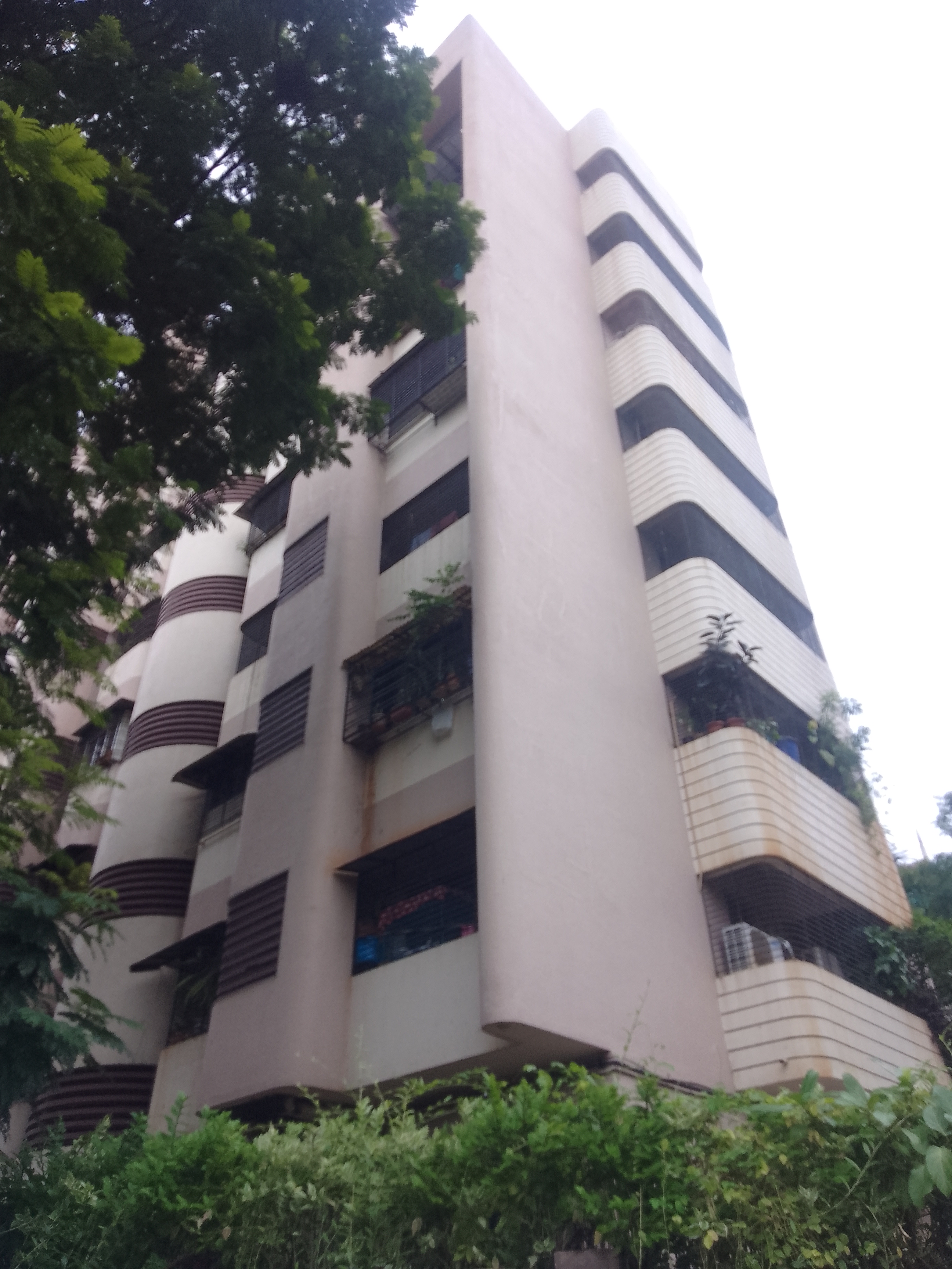 1 BHK Apartment For Rent in New Haridas Park CHS