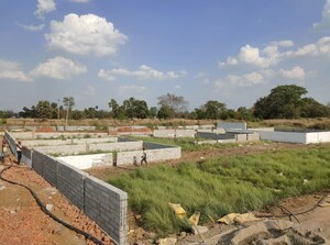  Plot For Sale in Painal