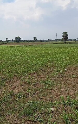 Plot Area in  Plot at Painal – for Sale