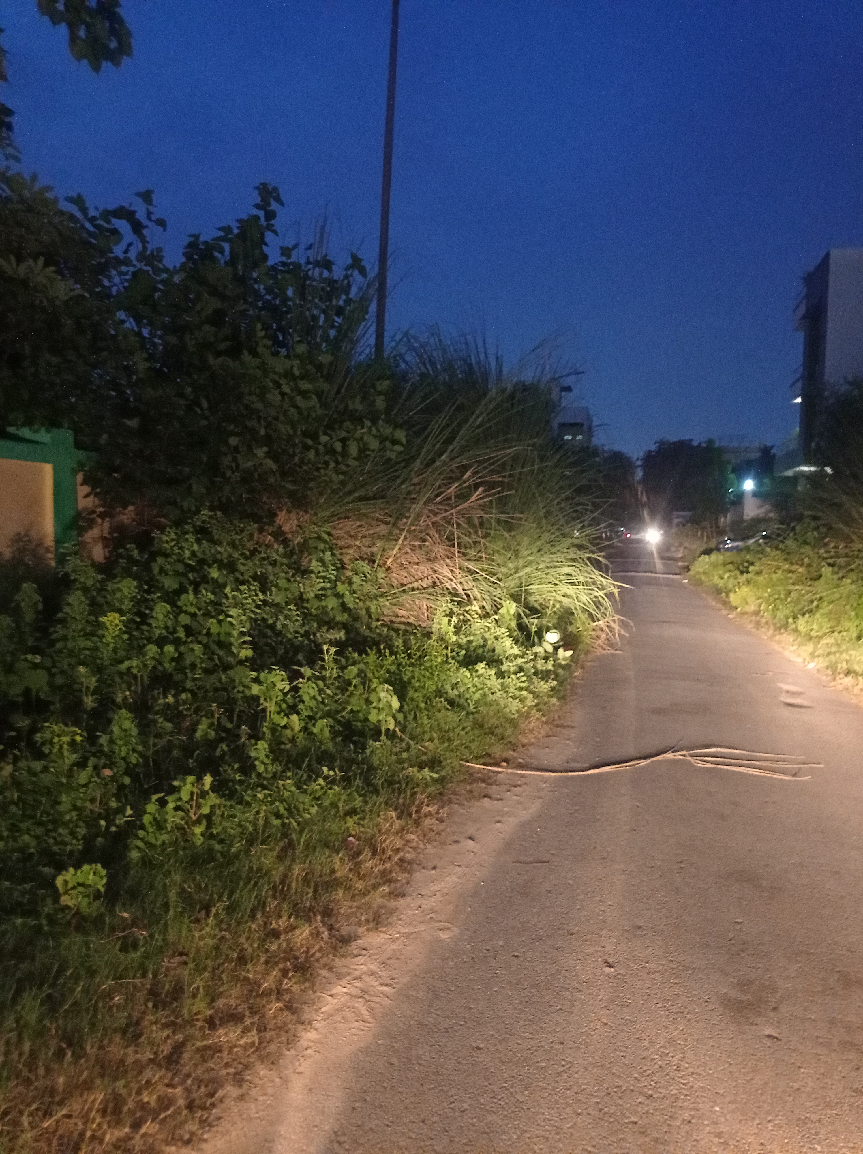 Plot For Sale in Sector 4 Gomti Nagar Exte