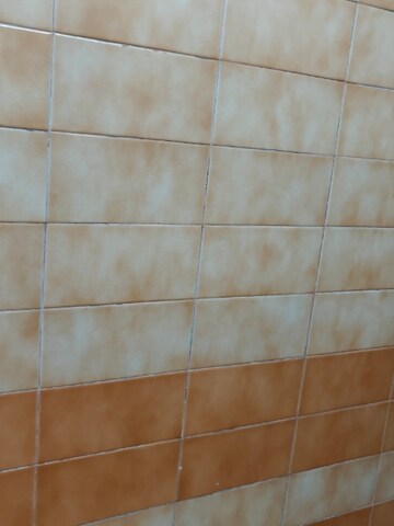 6+ BHK Independent House For Sale in Ansal Plaza Sector-23, Sector 23