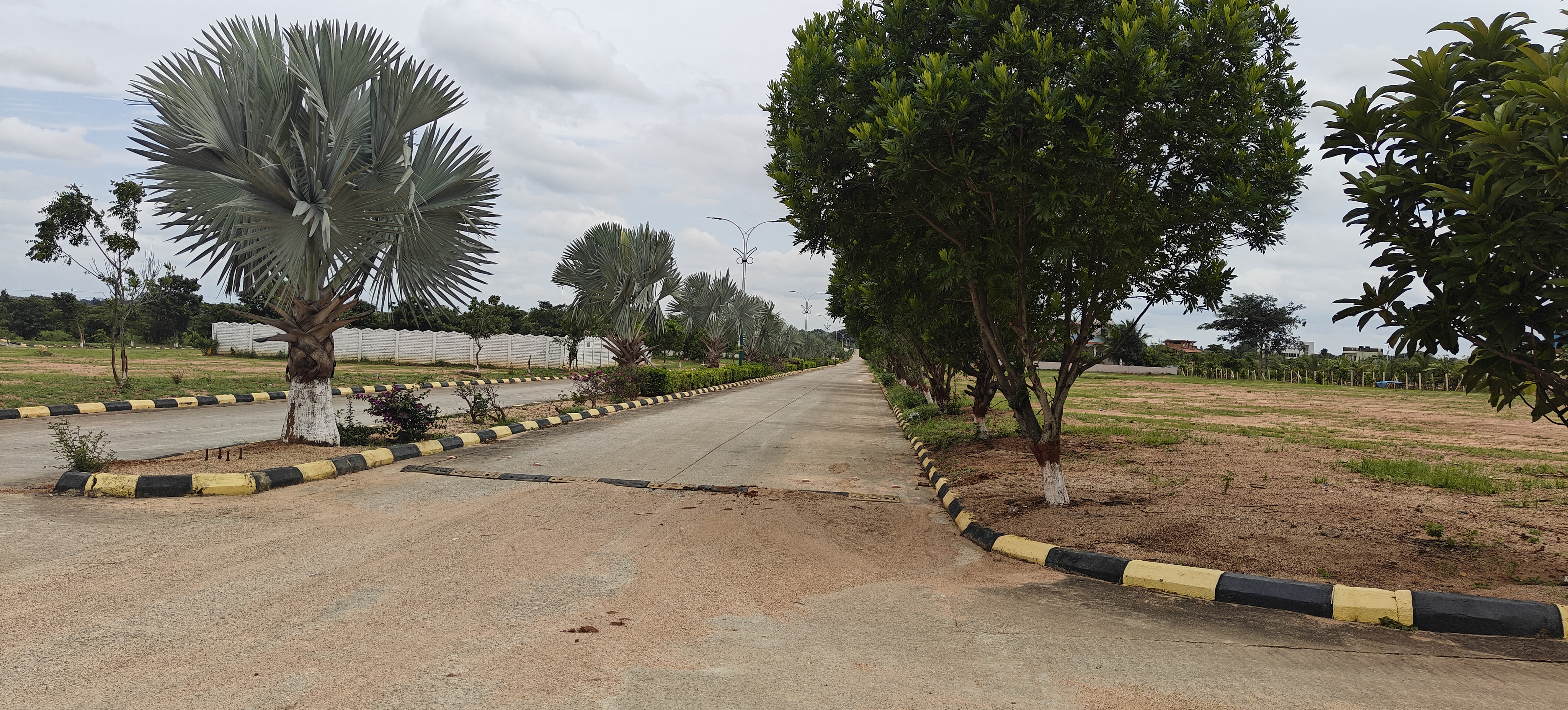 Plot For Sale in Fortune Butterfly City