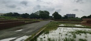 Plot Area in  Plot at Harhua – for Sale