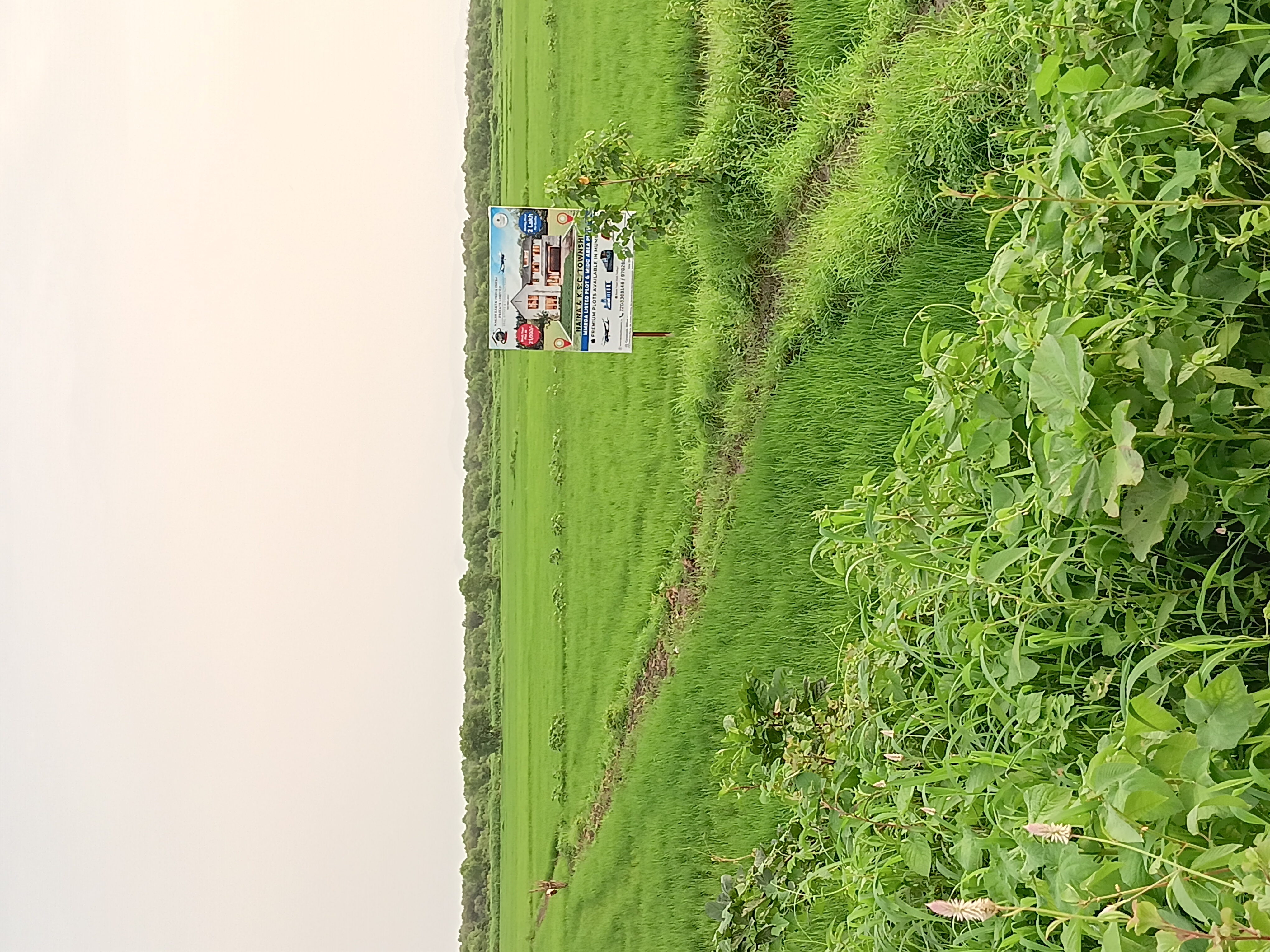 Plot For Sale in Bunglow Plot 