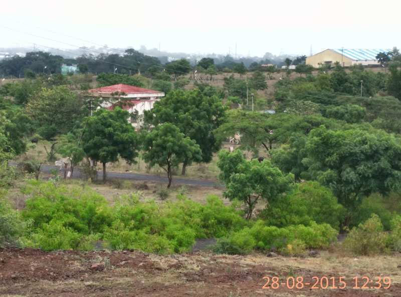 Plot For Sale in Pushpa Nagri