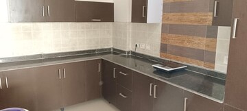 Kitchen in 3 BHK Apartment at Dasnac The Jewel, Sector 75 – for Rent