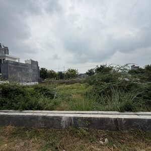 Plot Area in  Plot at Sector 151 – for Sale