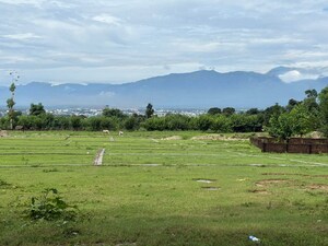 Plot Area in  Plot at Sherpur – for Sale