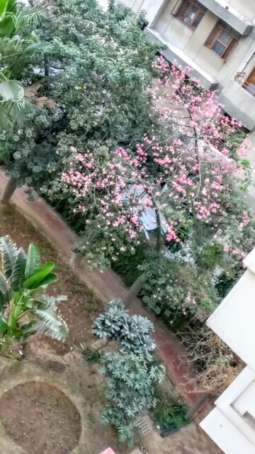 3 BHK Apartment – Exterior View View at Sector 23 Dwarka - for Rent