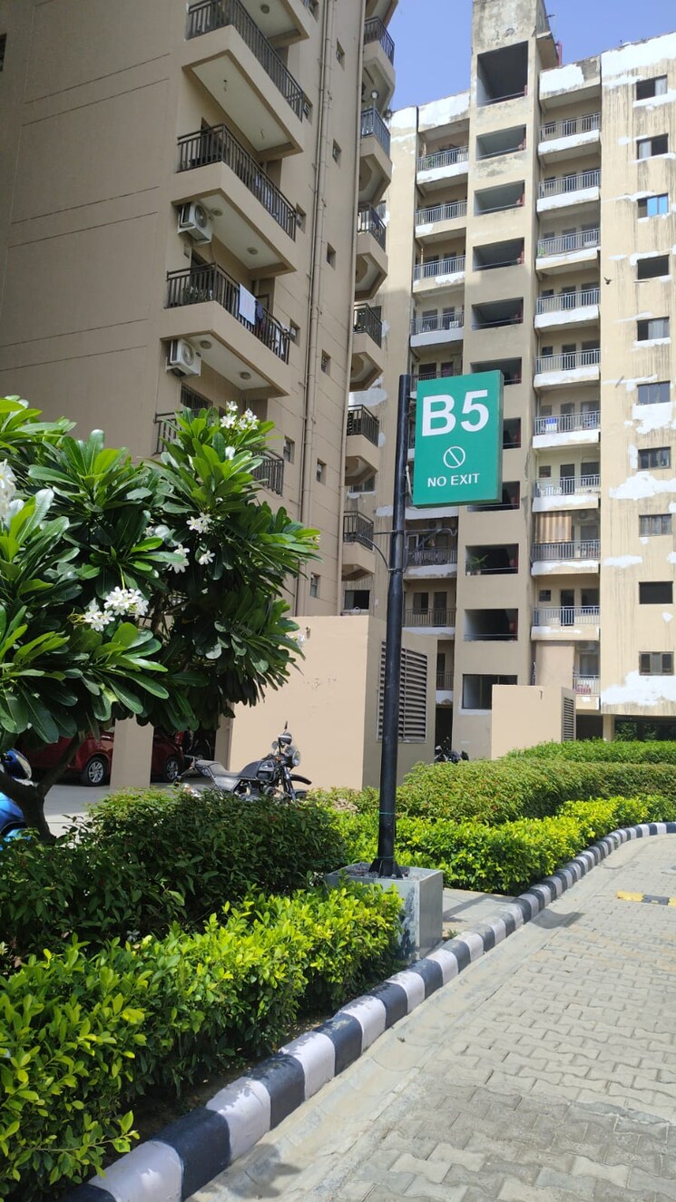 Exterior View, ardee-city-palm-grove-heights 3 Bedroom 2035 Sq.Ft. Apartment In Sector 52 Gurgaon 9118521