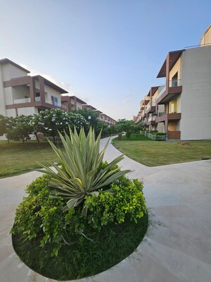  Land For Sale in Zeta I Greater Noida