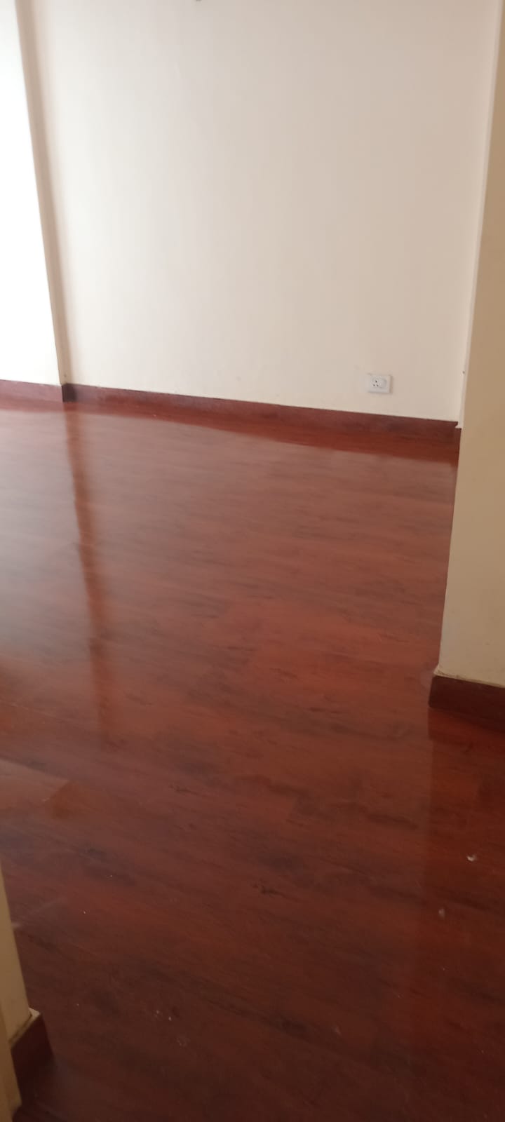 3 BHK + Pooja Room,Servant Room,Study Room,Extra Room Villa For Rent in RWA Apartments Sector 41
