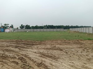 Plot Area in  Plot at Jhajjar Road – for Sale
