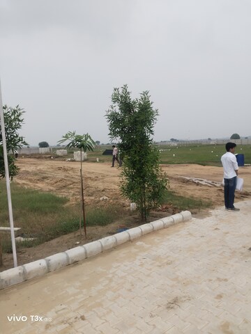 Plot Area in  Plot at Jhajjar Road – for Sale