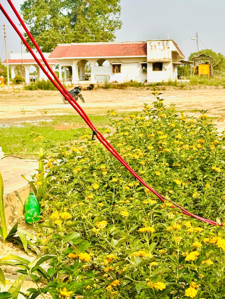 Garden, mohanlalganj  1468 Sq.Ft. Plot In Mohanlalganj Lucknow 9118996