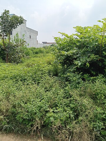  Plot – Garden View at Jankipuram - for Sale