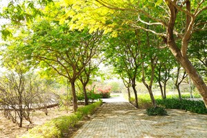  Plot – Garden View at Vatika Infotech City, Thikariya - for Sale