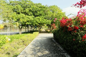  Plot – Garden View at Vatika Infotech City, Thikariya - for Sale