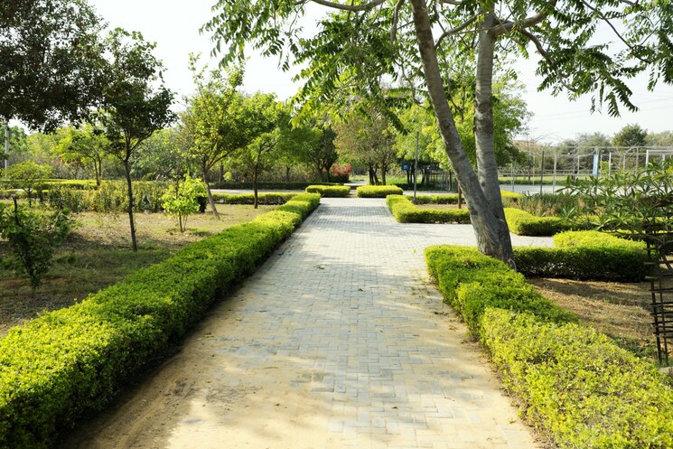 Garden, vatika-infotech-city  106 Sq.Yd. Plot In Thikariya Jaipur 9119243