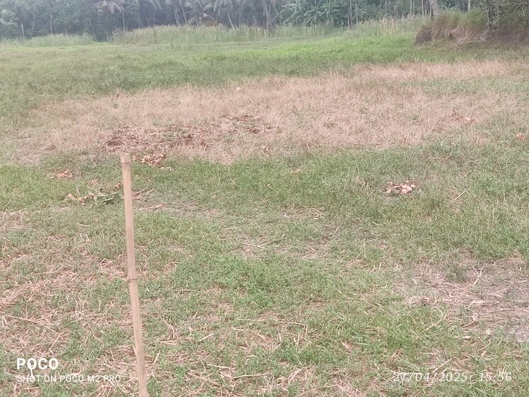 undefined, joka  1440 Sq.Ft. Plot In Joka Kolkata 9119259