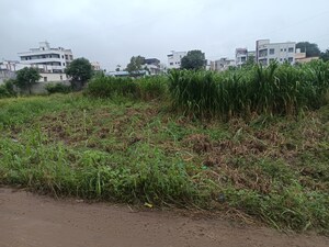 Plot Area in  Plot at Nere – for Sale