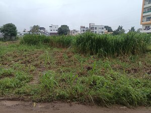  Plot For Sale in Nere