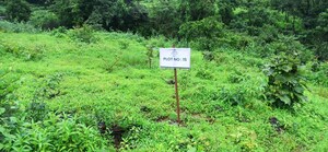  Plot For Sale in Mulshi