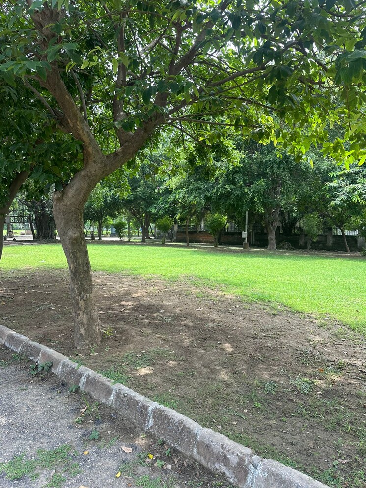 Garden, phi iv greater noida  5425 Sq.Ft. Plot In Phi Iv Greater Noida Greater Noida 9119973