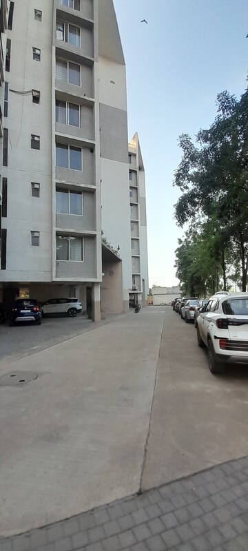 3 BHK Apartment For Rent in Kachana
