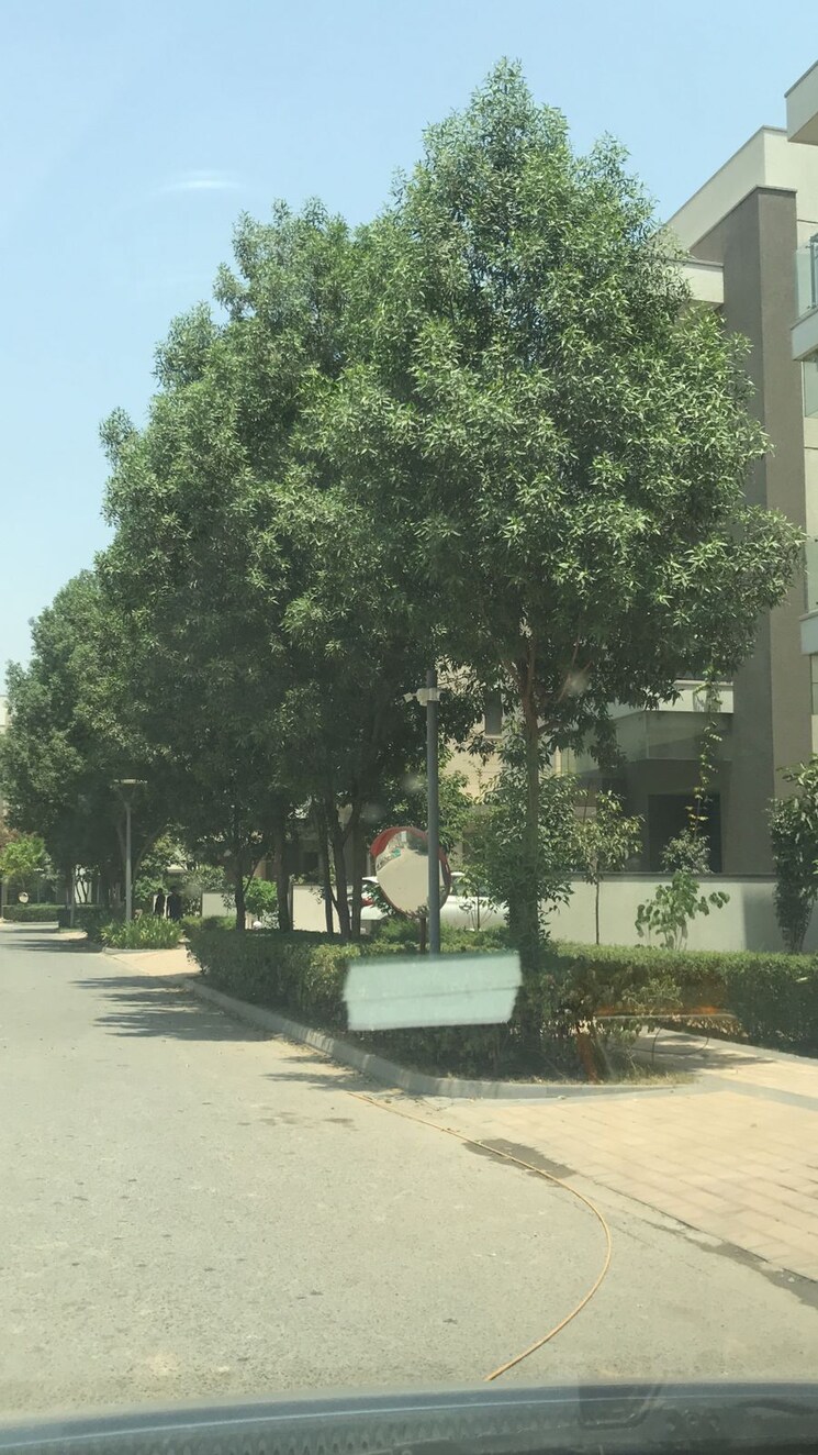 Exterior View, sobha-international-city-phase-1 5 Bedroom 7330 Sq.Ft. Villa In Sector 109 Gurgaon 9119916