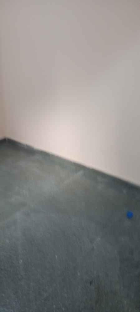 2 BHK + Pooja Room Builder Floor For Rent in Suraj Vihar