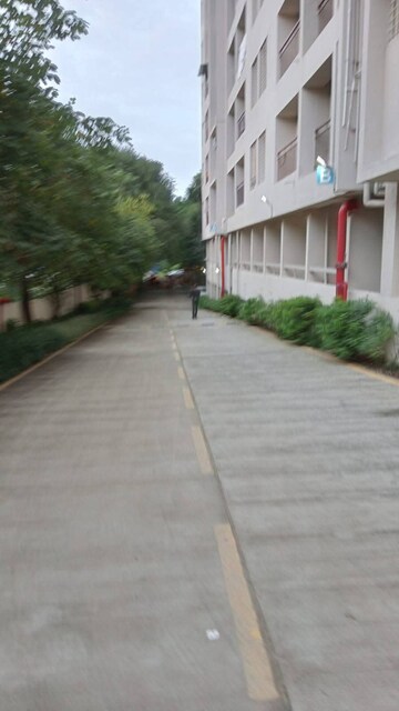 Balcony in 2 BHK Apartment at Sai Samarttha Saisha, Punawale – for Rent