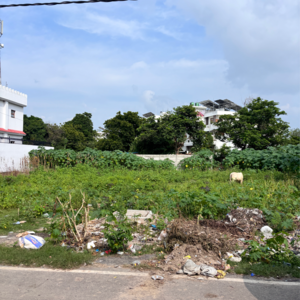 Plot Area in  Plot at Viraj Khand – for Sale