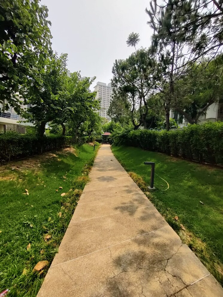 Garden, paramount-golfforeste 3 Bedroom 1450 Sq.Ft. Villa In Zeta I Greater Noida Greater Noida 9121006