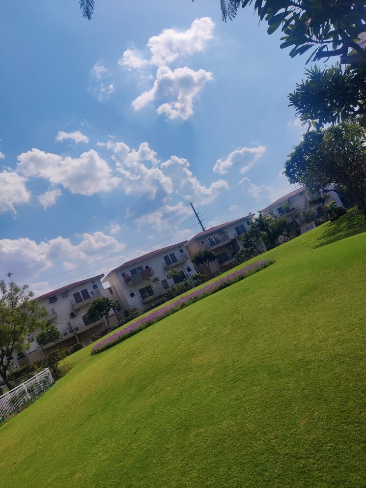 Exterior View, paramount-golfforeste 3 Bedroom 1450 Sq.Ft. Villa In Zeta I Greater Noida Greater Noida 9121006