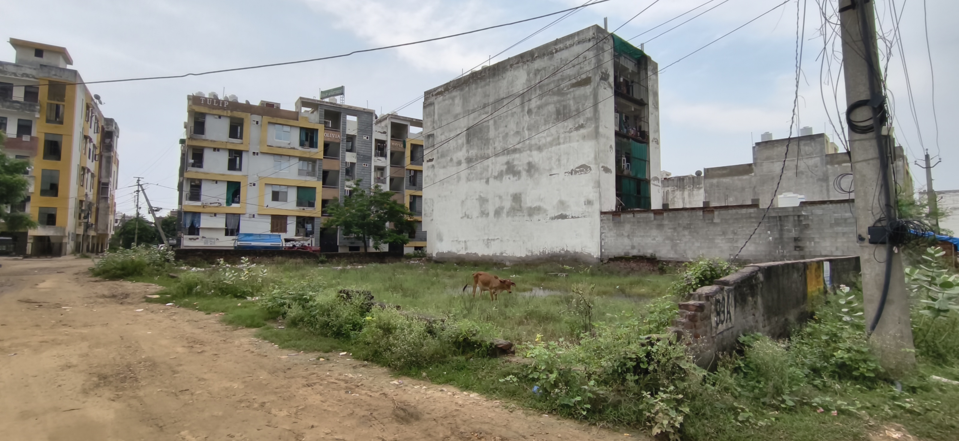 Plot For Sale in Bajrang Deep 1 Jagatpura