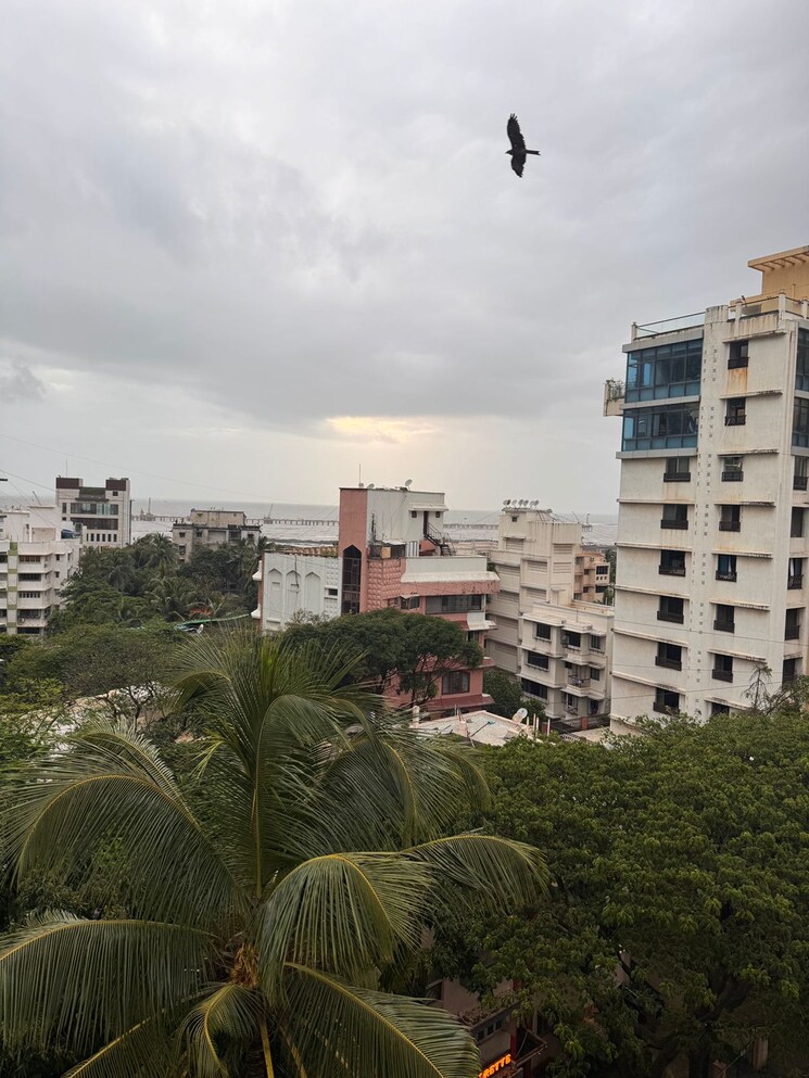 Exterior View, bandra west 3 Bedroom 1300 Sq.Ft. Apartment In Bandra West Mumbai 9121091