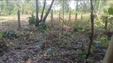 Plot For Sale in Keralassery