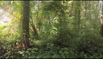  Plot – Exterior View View at Keralassery - for Sale