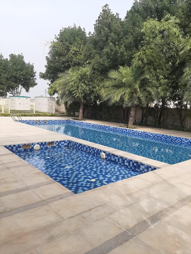 Swimming Pool, puri-aman-vilas 3.5 Bedroom 1670 Sq.Ft. Builder Floor In Sector 89 Faridabad 9121106