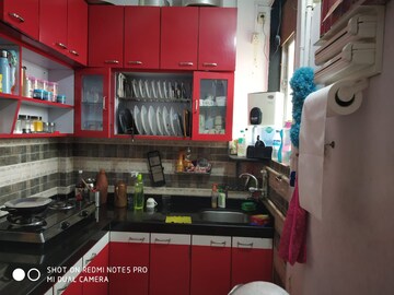 Kitchen in 1 RK Apartment at Star Avenue Kalina, Kalina – for Rent