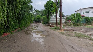 Plot Area in  Plot at Sector 135 – for Sale