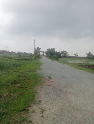Plot Area in  Plot at Ramnagar – for Sale