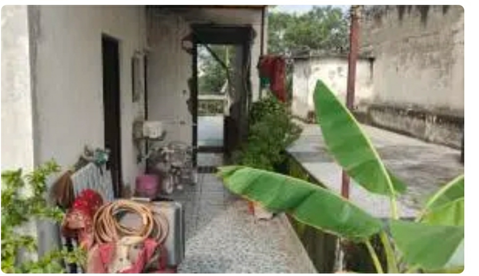 2.5 BHK + Study Room Builder Floor For Rent in Ramesh Nagar